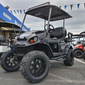 Mega XL Edition-Brand New – EZ-GO Gas S4 Express