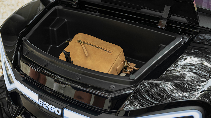 ALL NEW 2027 EZGO LIBERTY GAS - PREORDER NOW! - Image 4